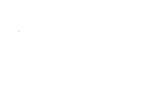 Stanford Day of Giving Logo